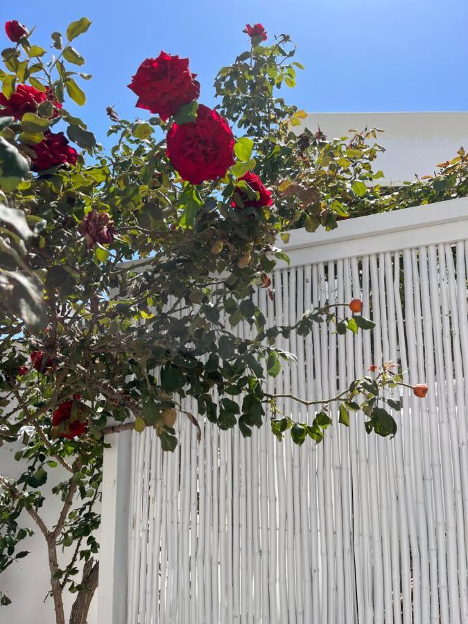 Aleria Central Apartments Naxos City المظهر الخارجي الصورة